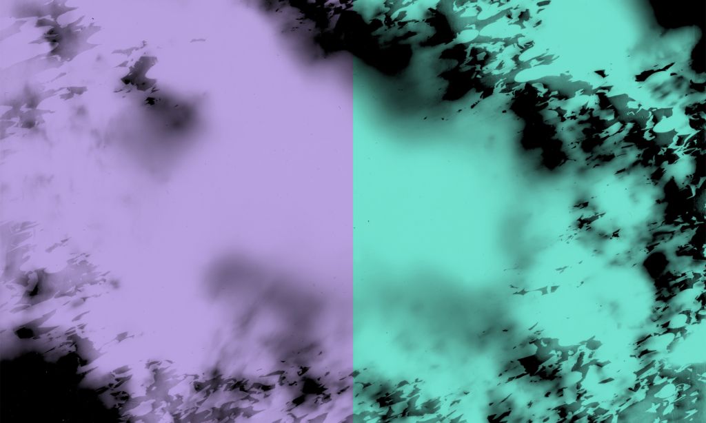 Fotogramm. Simone Farner, Naima Schalcher