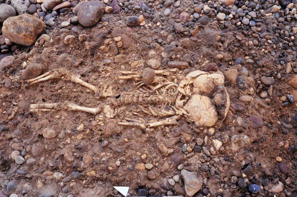 Von Basel-Gasfabrik sind zahlreiche Kinderbestattungen bekannt. Besonders aufschlussreich sind naturwissenschaftliche Untersuchungen der Skelette. So zeigen Isotopenanalysen, dass überraschend viele Kinder einen Ortswechsel vollzogen haben. Dieses Ergebnis wirft neue Fragen über Mobilität in der spätkeltischen Gesellschaft – und nicht zuletzt über Kindheit in der damaligen Zeit auf (Foto: Adrian Jost, Archäologische Bodenforschung Basel-Stadt).