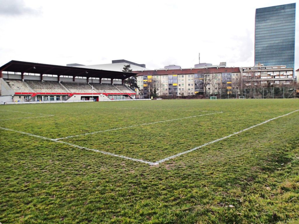 Ein Findling zwischen Wohnhäusern: Der "Ländi". Fotografie: Patrik Tschudin.
