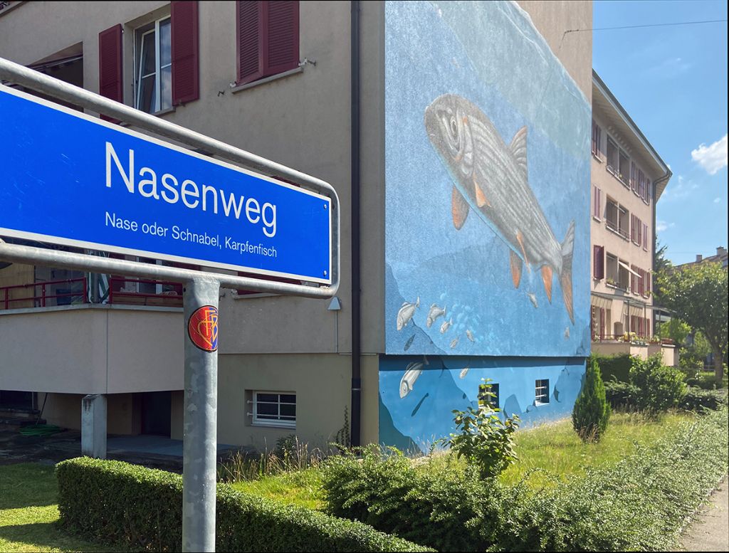 Nasenweg, 2020