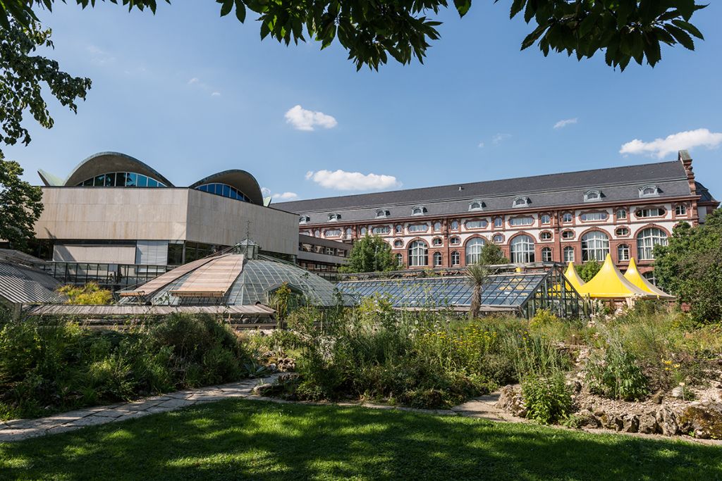 Alte Universitätsbibliothek